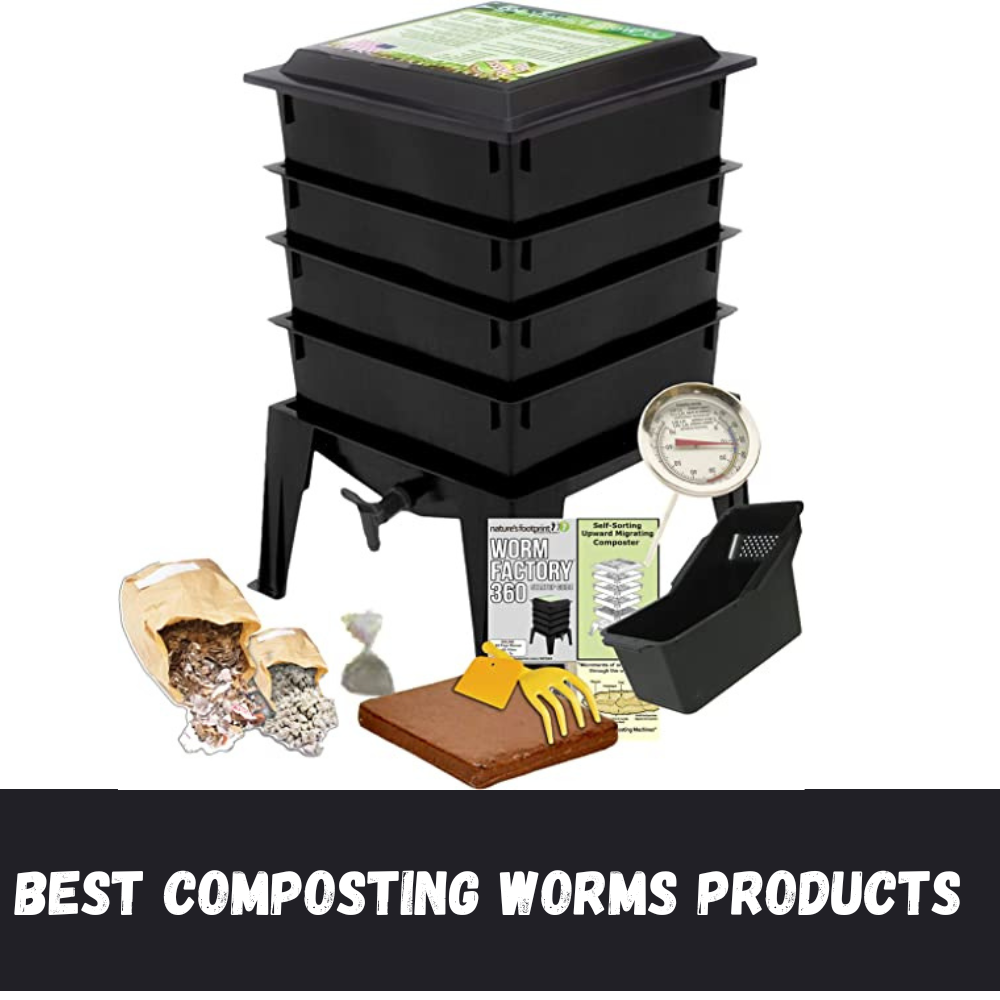 Best Composting Worms Products