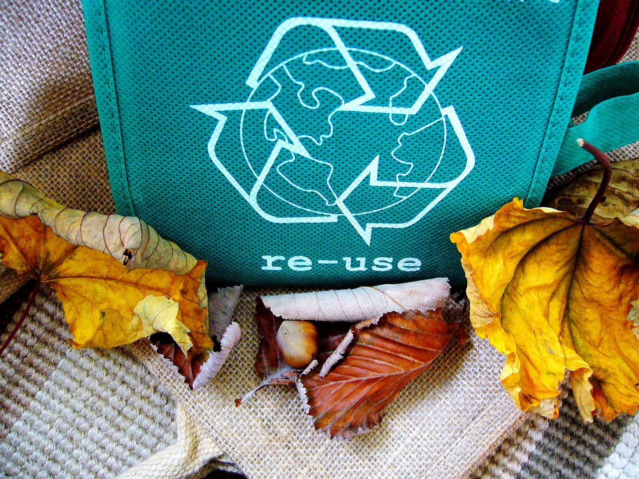 Facts About Recycling:  15 Simple Facts You Probably Didn’t Know