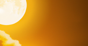 Read more about the article Flexible Solar Panels: Eco Friendliness With a Bend & a Twist!