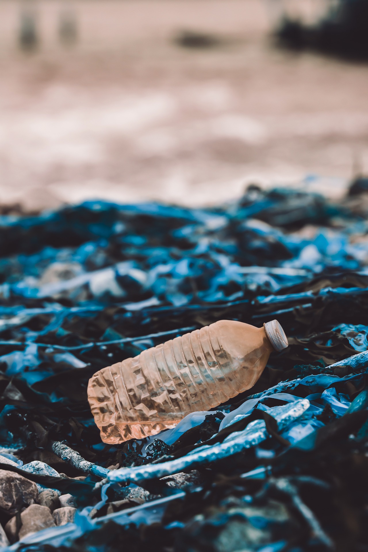 Are Bioplastics Better Than Traditional Plastics? 6 Factors You May Not