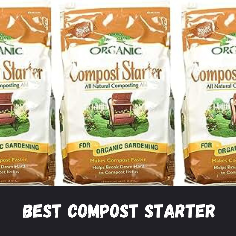Best Compost Starter