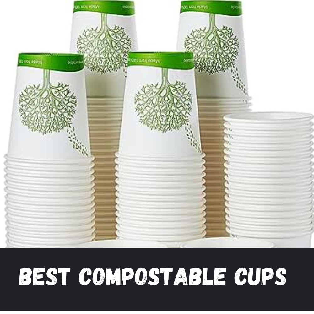 Best Compostable Cups