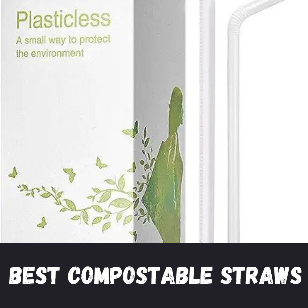 Best Compostable Straws