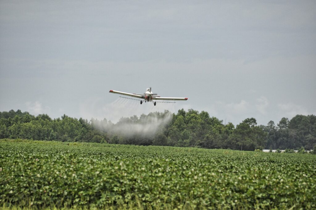 What Are The Dangers Of Using Chemical Pesticides