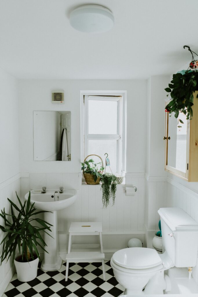How Can I Make My Bathroom Eco-friendly?