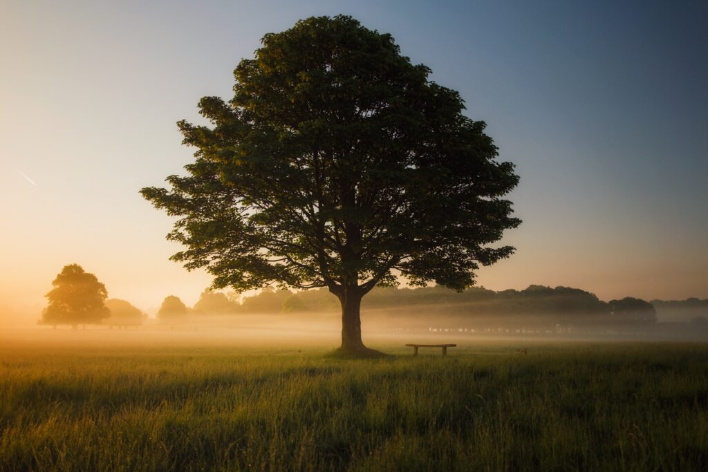 Why Is Clean Air Essential For Human Health?