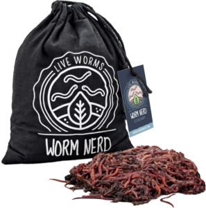 Read more about the article Worm Nerd Red Wiggler Live Worms Review