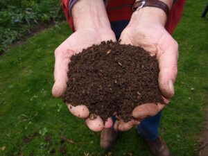 Read more about the article Does Compost Need To Be Covered From Rain: 10 Simple Answers