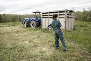 Read more about the article Best GAOMON Compost Spreader Review: 10 Tips