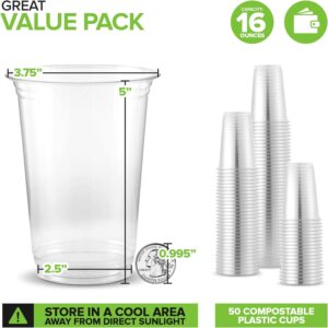 Read more about the article Stock Your Home 16 oz Clear Compostable Cold Cups Review