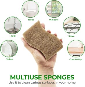 Read more about the article AIRNEX Natural Kitchen Sponge Review