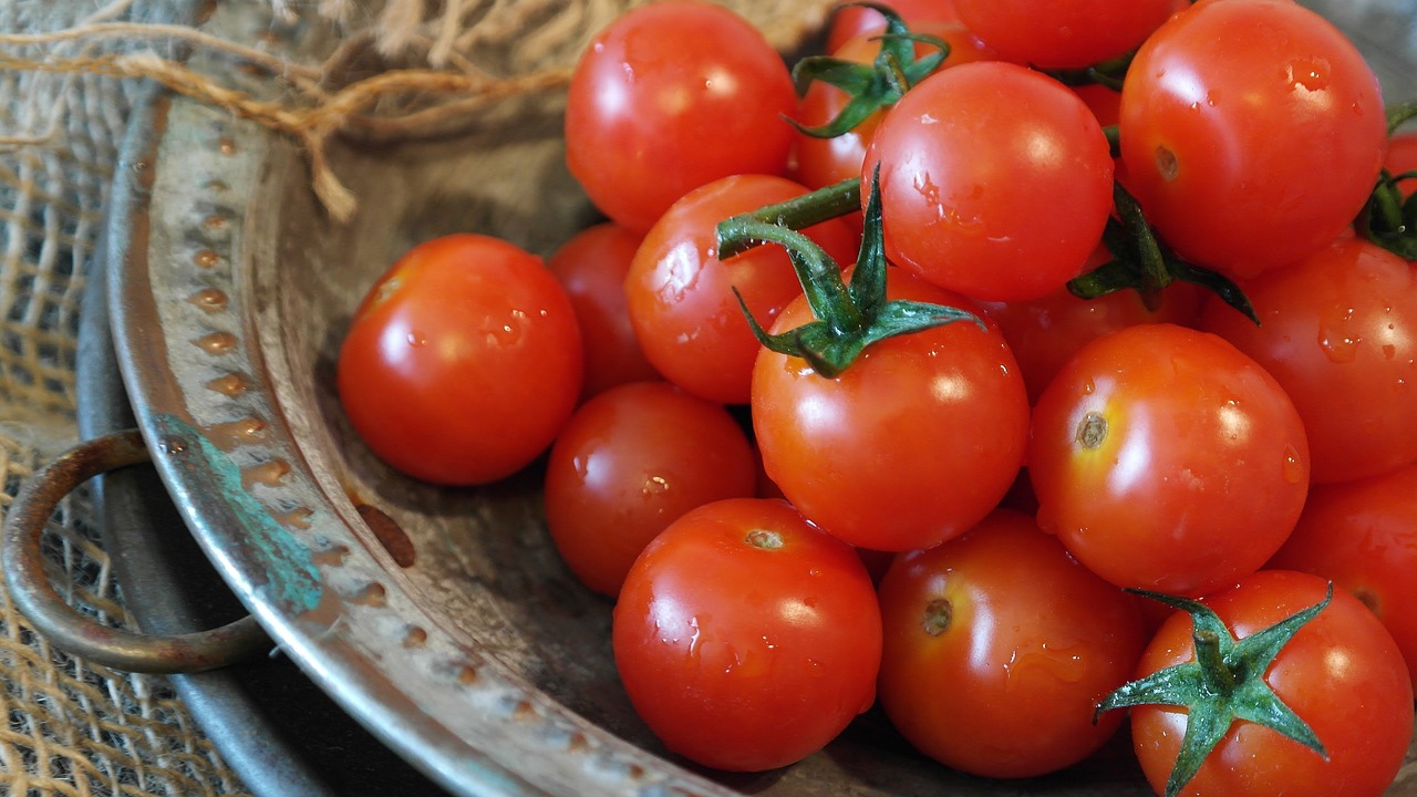 Tomato Salad Ingredient Mat Review