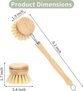 Read more about the article Bamboo Dish Brush Review