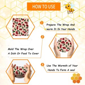 Read more about the article Eco-Friendly Beeswax Wraps For Food Review