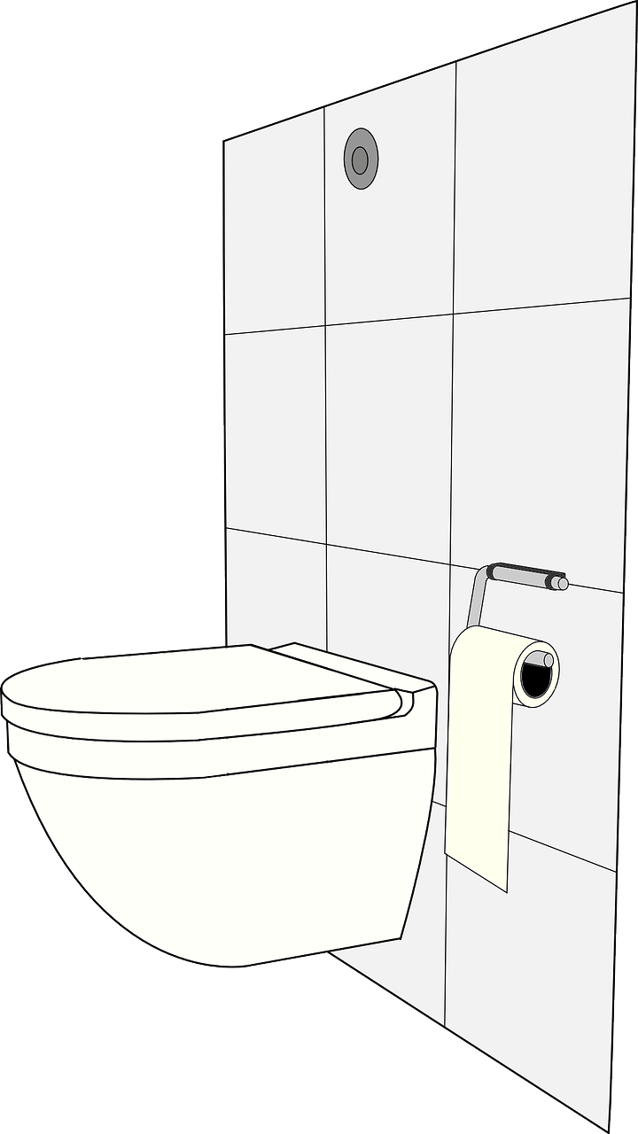 SEAFLO 4.8 Gallon Toilet Review