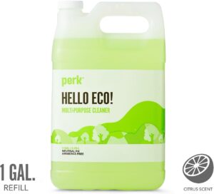 Read more about the article Sustainable Earth Cleaner Review