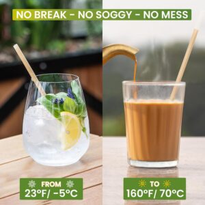 Read more about the article Biodegradable Coconut Straws Review