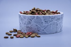 Read more about the article Ultra-Rich Grain-Free Dry Cat Food Review