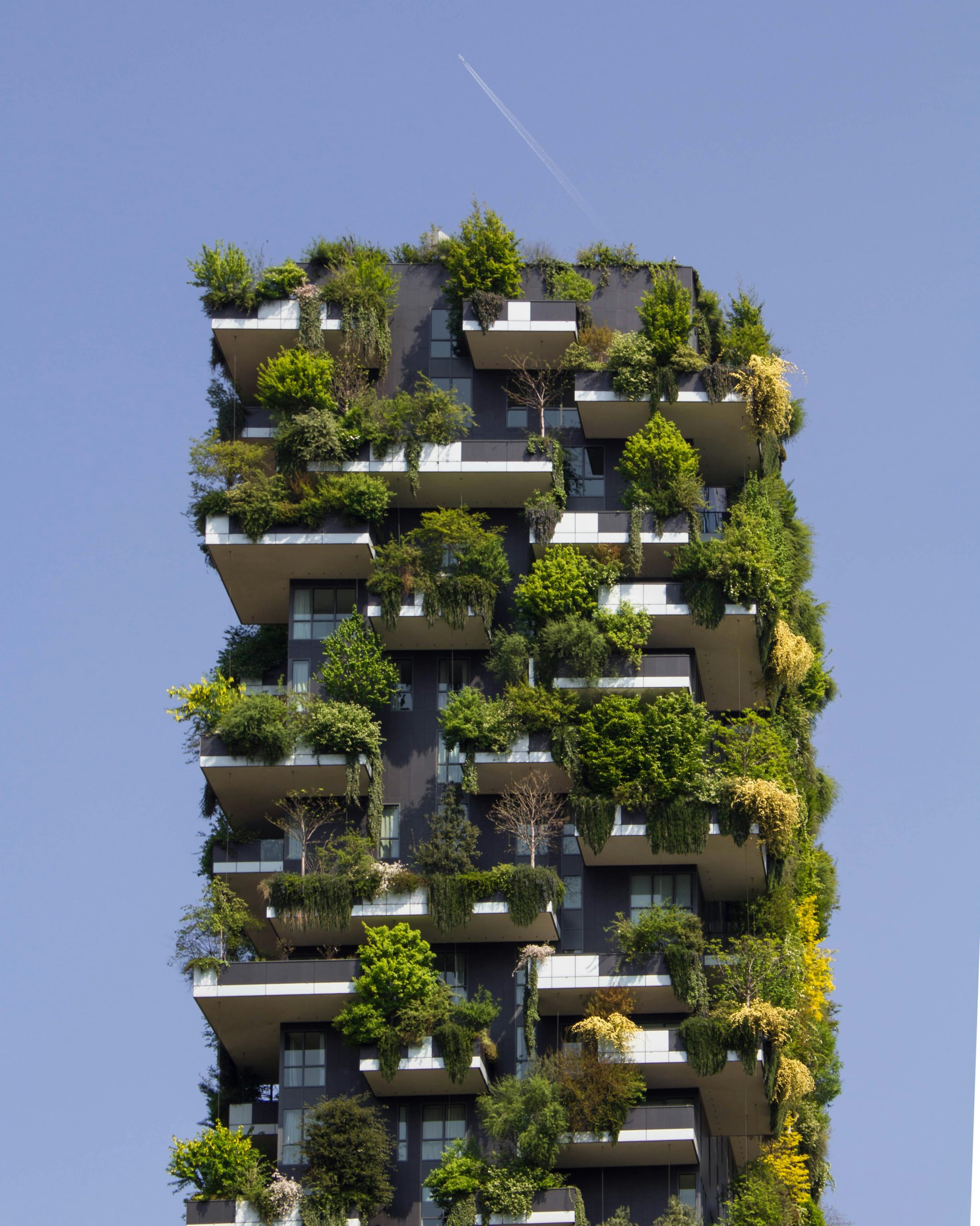 How Do Green Building Certifications Impact Sustainable Architecture?