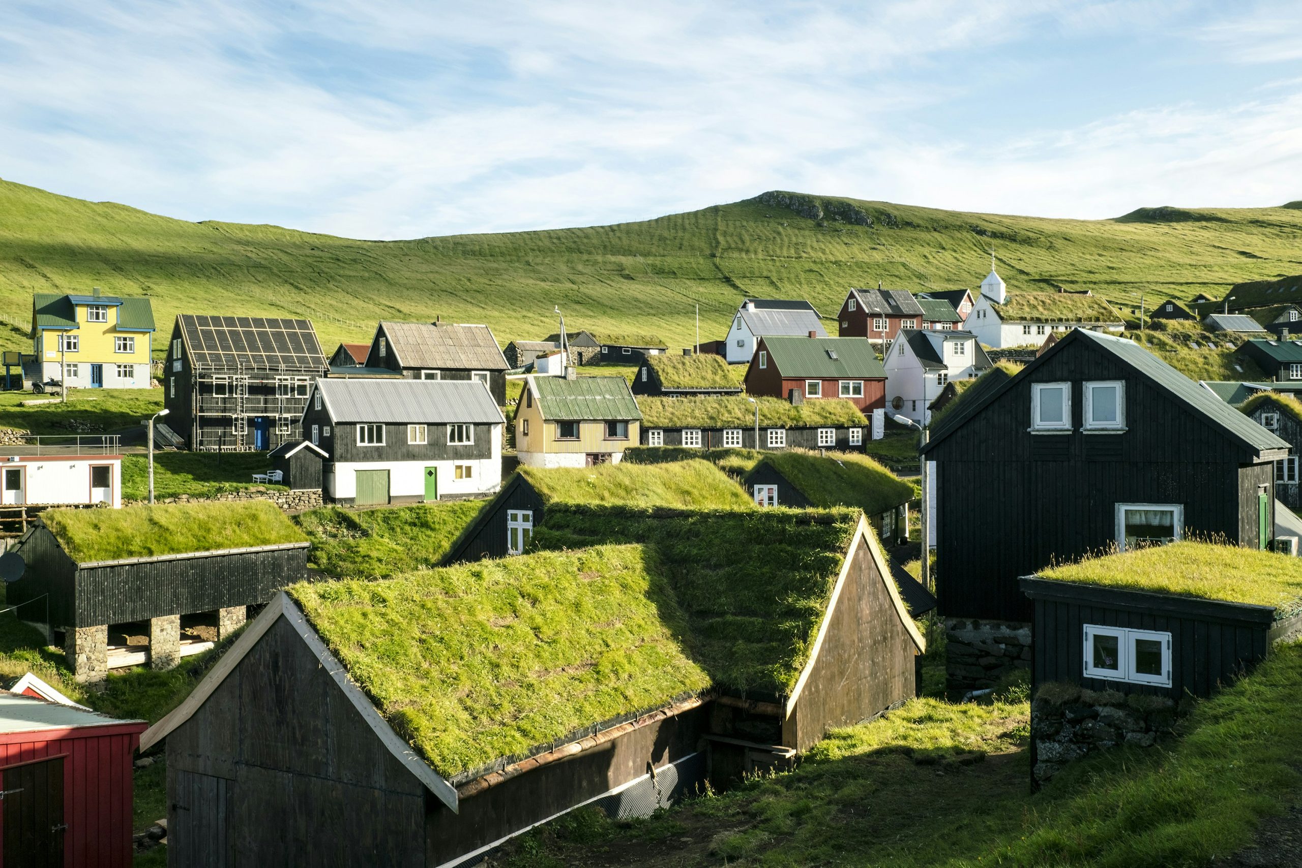 How Do Green Roofs Contribute To Sustainable Architecture?