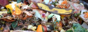 Read more about the article How Do I Avoid Compost Becoming Too Acidic?