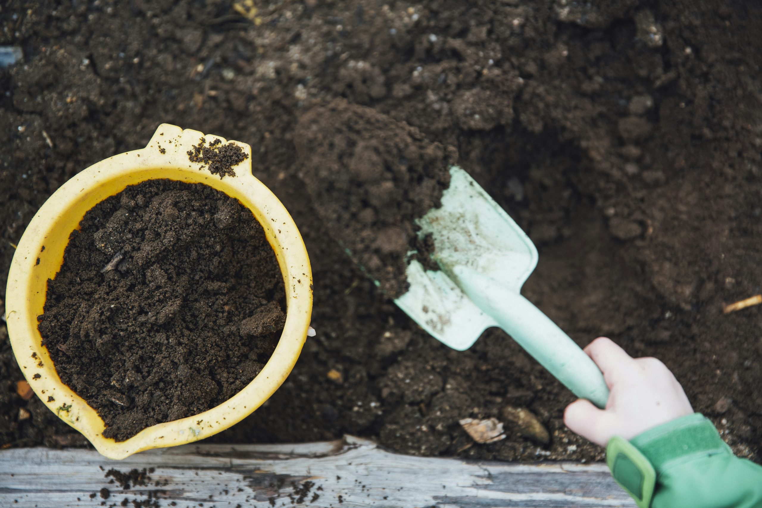 How Do I Ensure My Compost Is Organic?