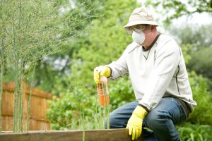 Read more about the article How Do I Prevent Rodents In My Compost Bin?