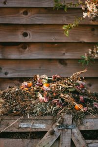 Read more about the article How Do I Start A Compost Pile?