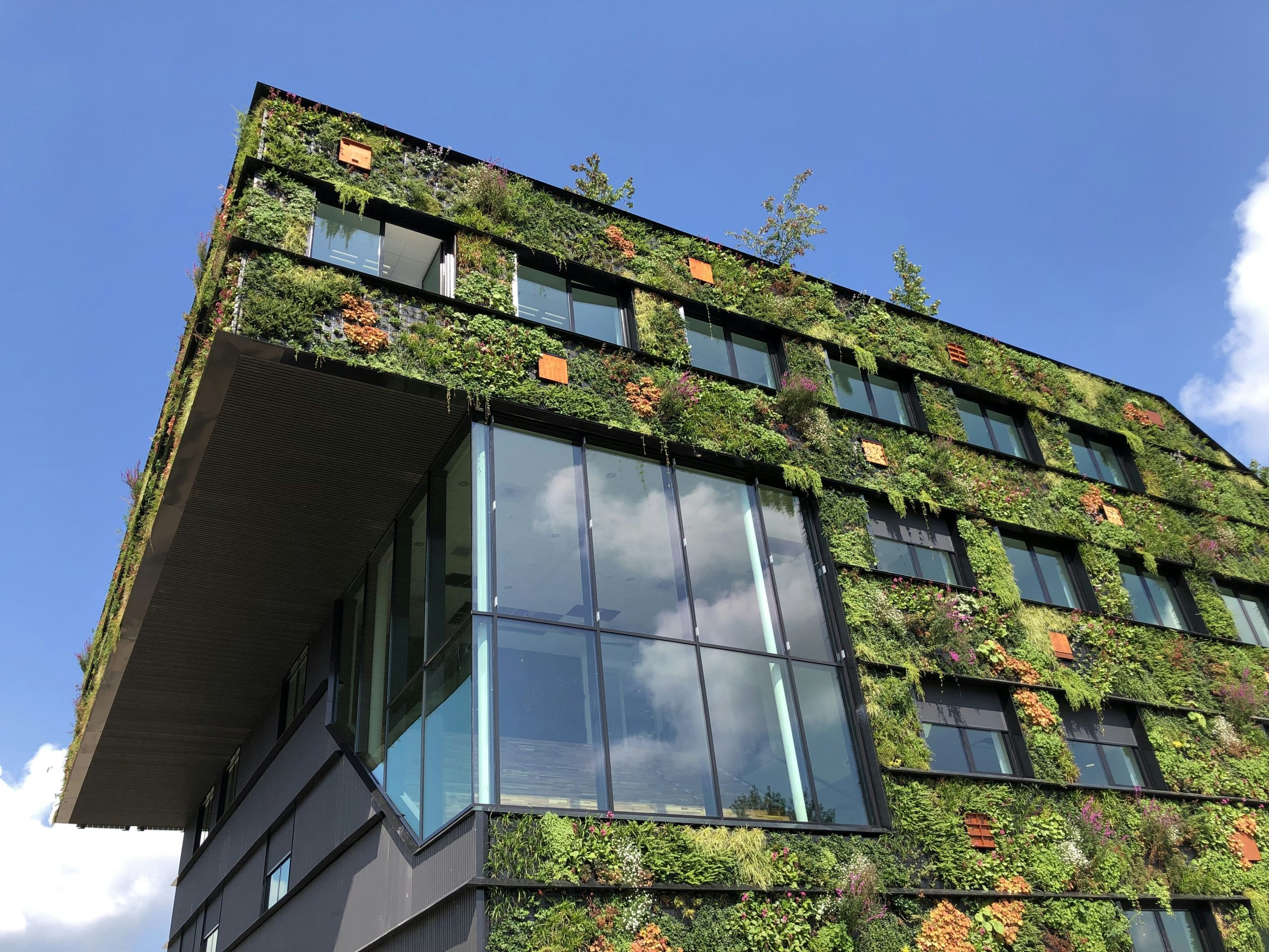 How Does Sustainable Architecture Reduce Carbon Footprint?