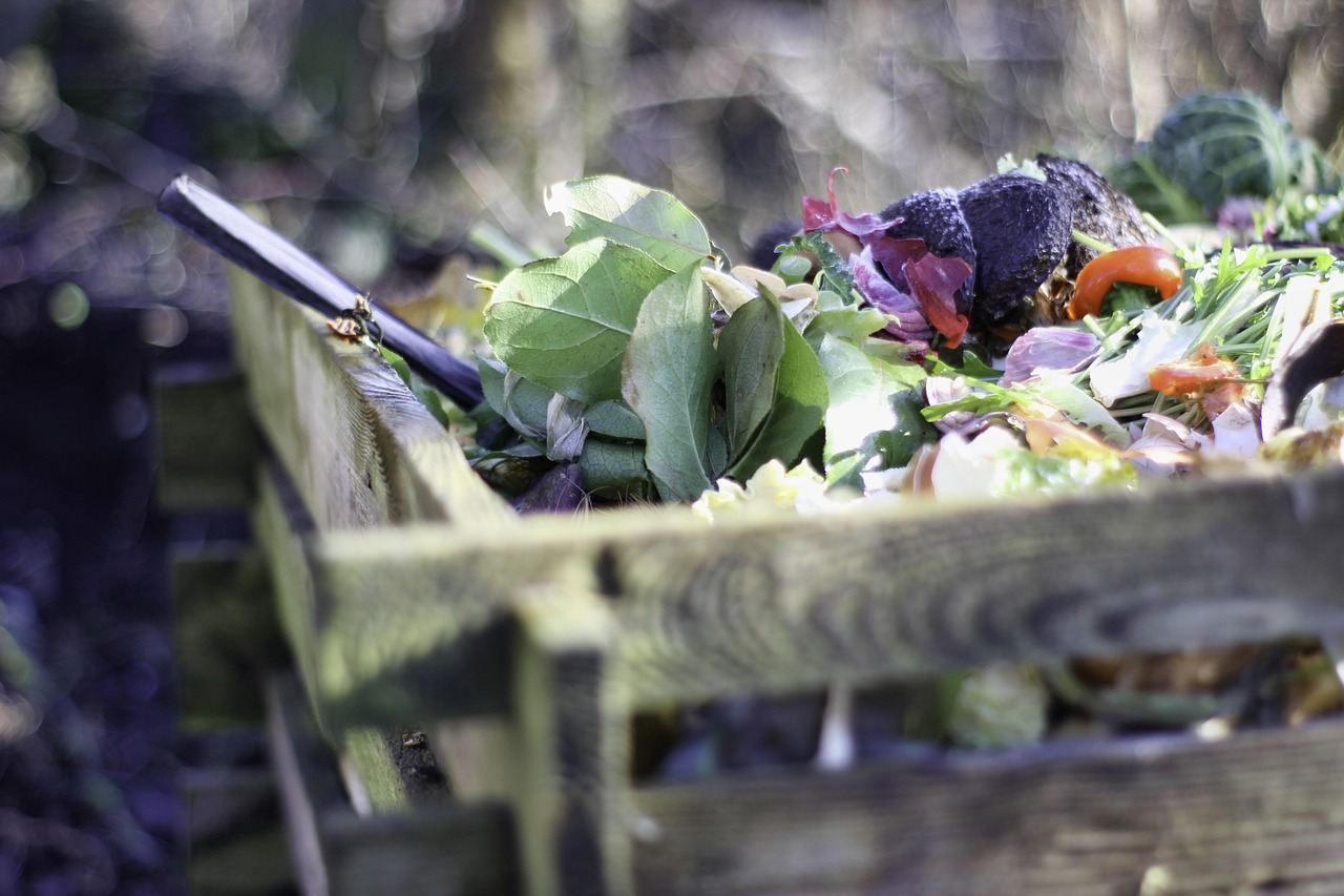 How Often Should I Turn My Compost Pile?