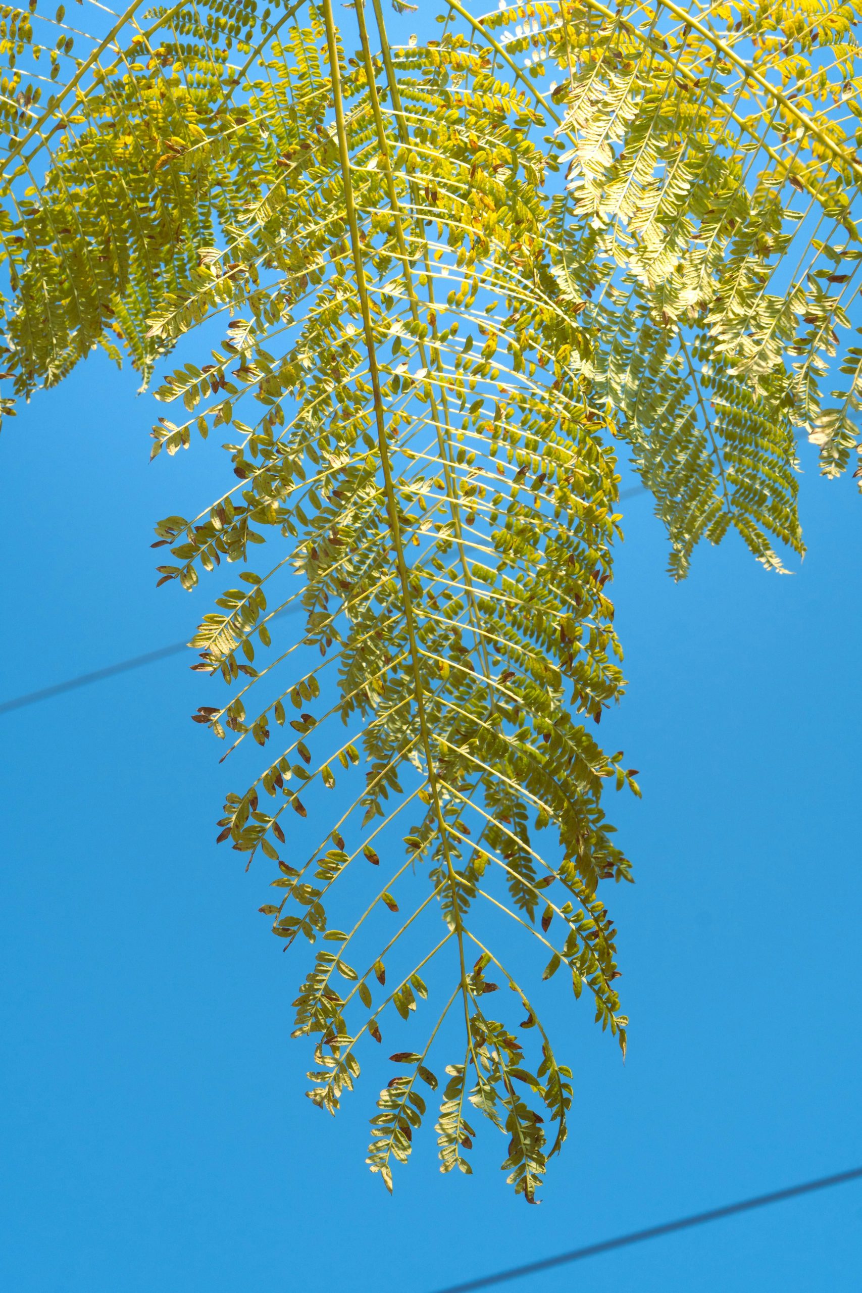 How To Determine If A Product Is Organic Eco Life Wise
