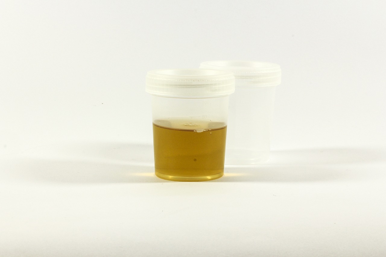 Urine Super Absorbent, Solidifier - 50 Pack - Pee Powder Liquid Waste Gelling and Deodorizing Powder, Urine Absorber Emergency Toilet Waste