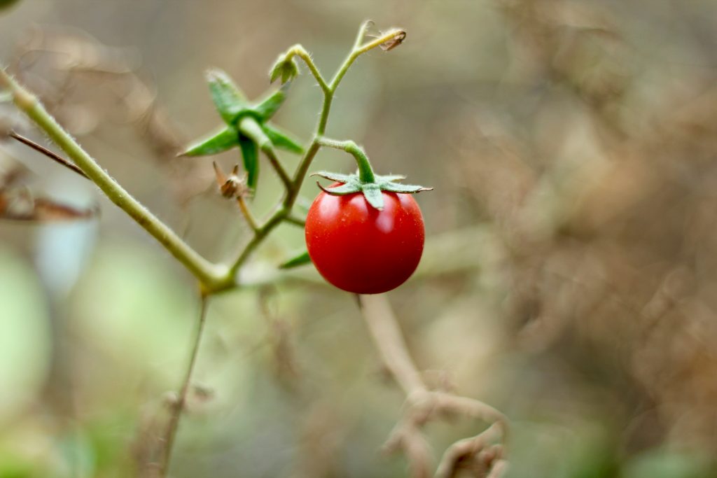 What are the best ways to protect natural habitats eco life wise