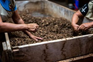 Read more about the article Compost Bags 1.2 Gallon Review