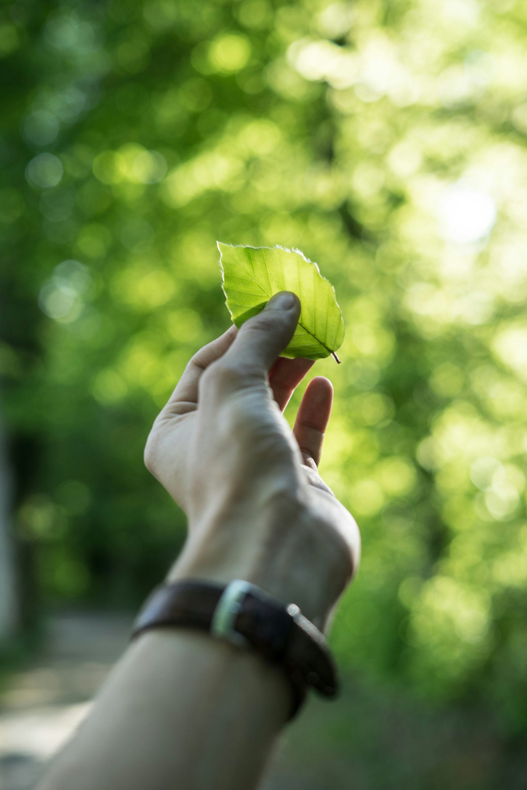 The Impact of Green Buildings on Health and Well-Being