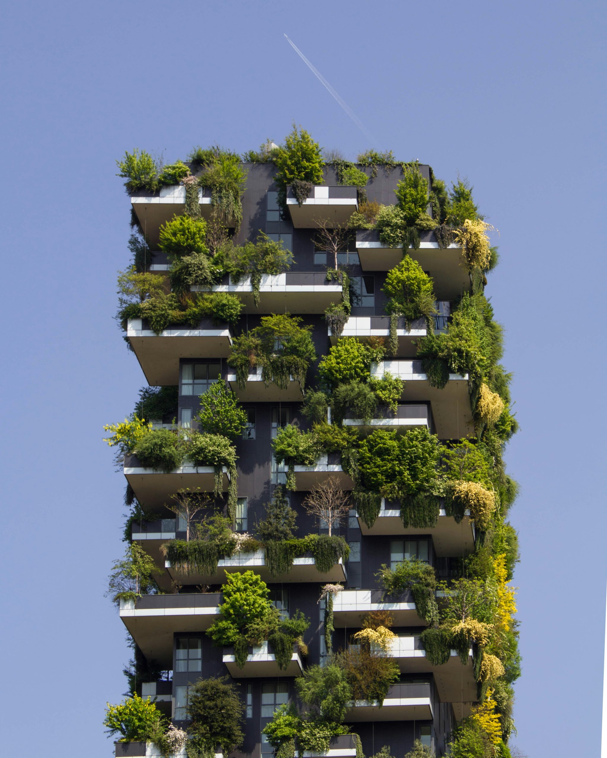 The Impact of Green Buildings on Health and Well-Being