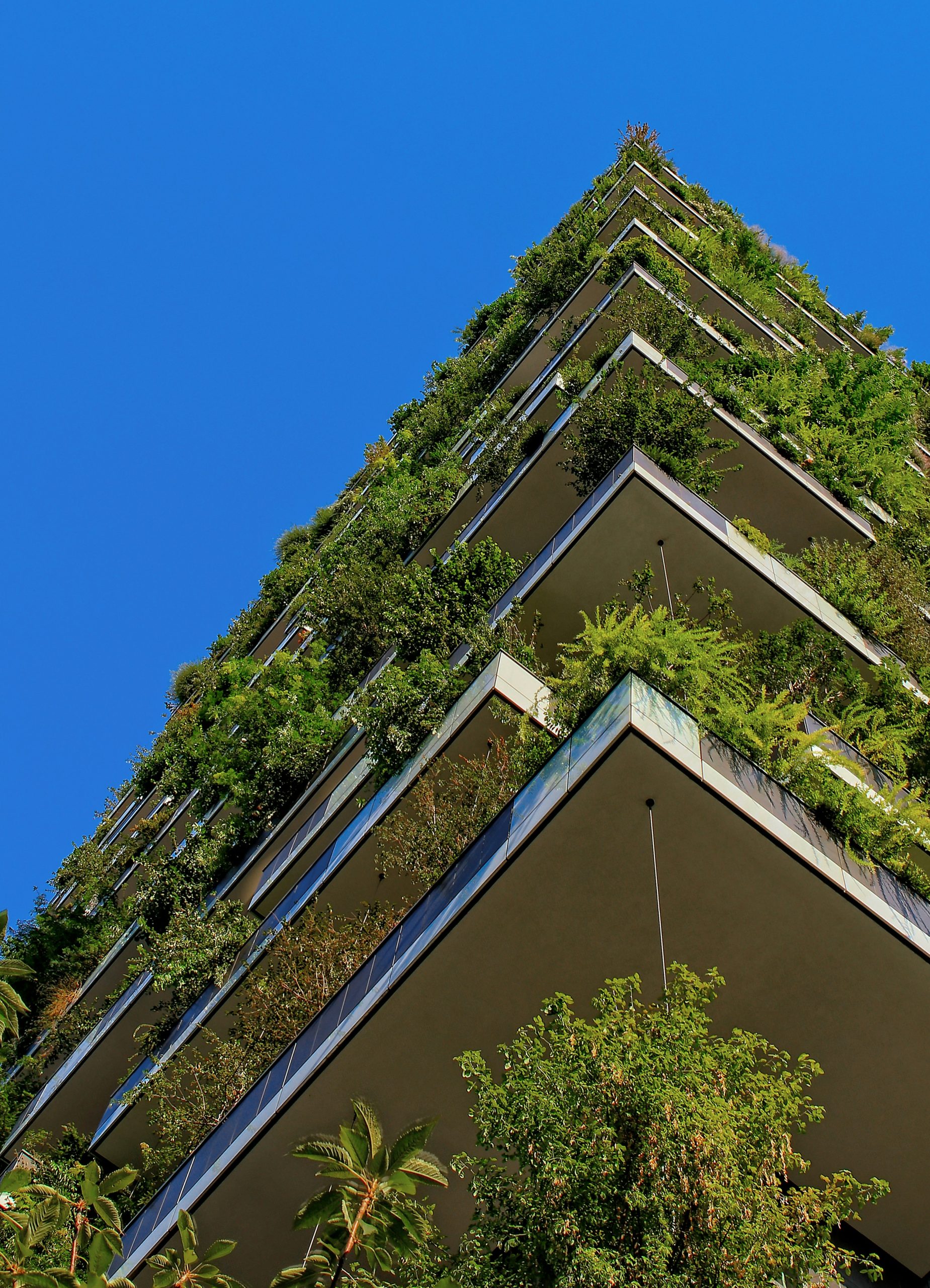 Read more about the article From Farm to Table: The Rise of Local Foods in Sustainable Living