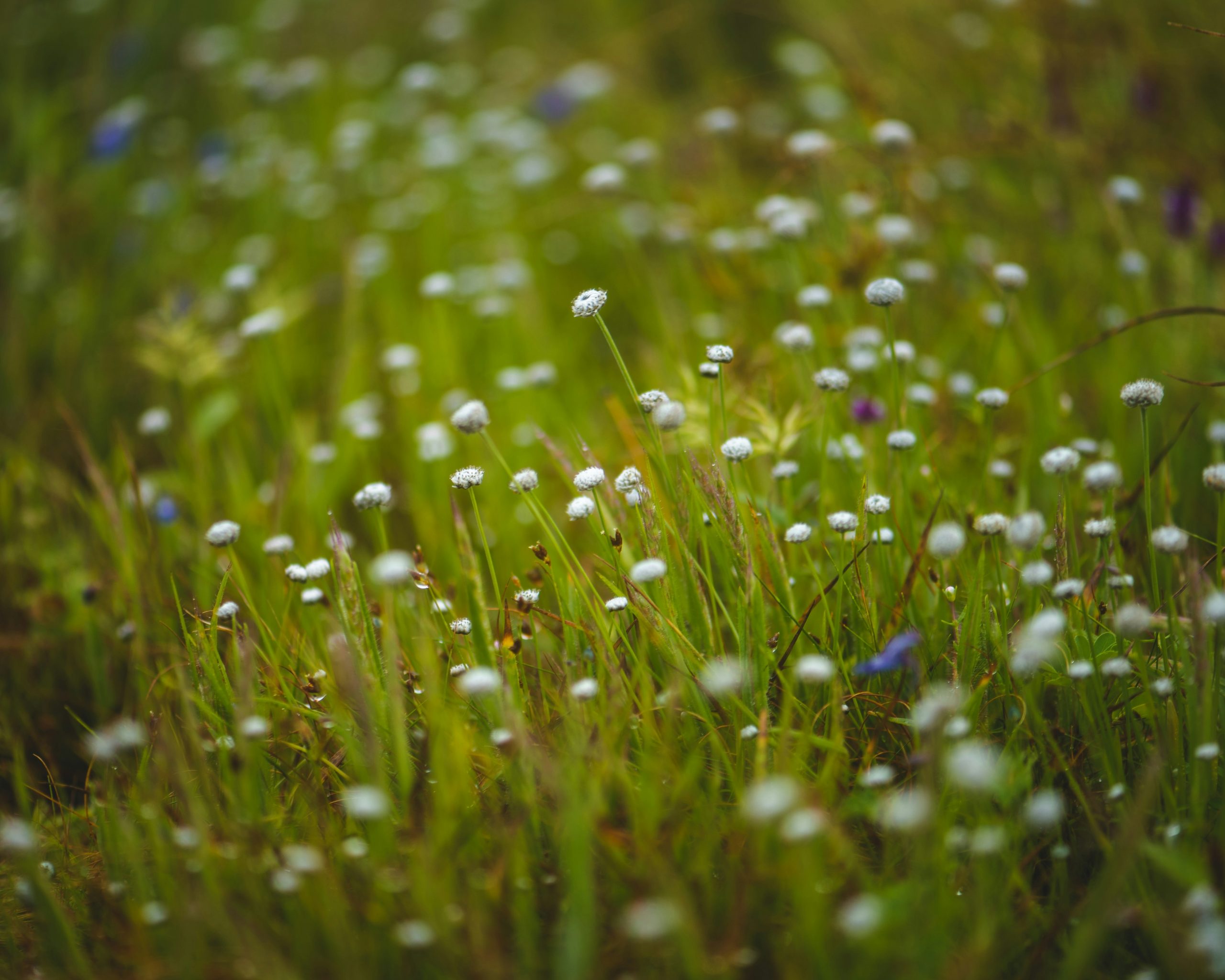Read more about the article The Future of Fashion: Eco-Friendly Trends Taking Over