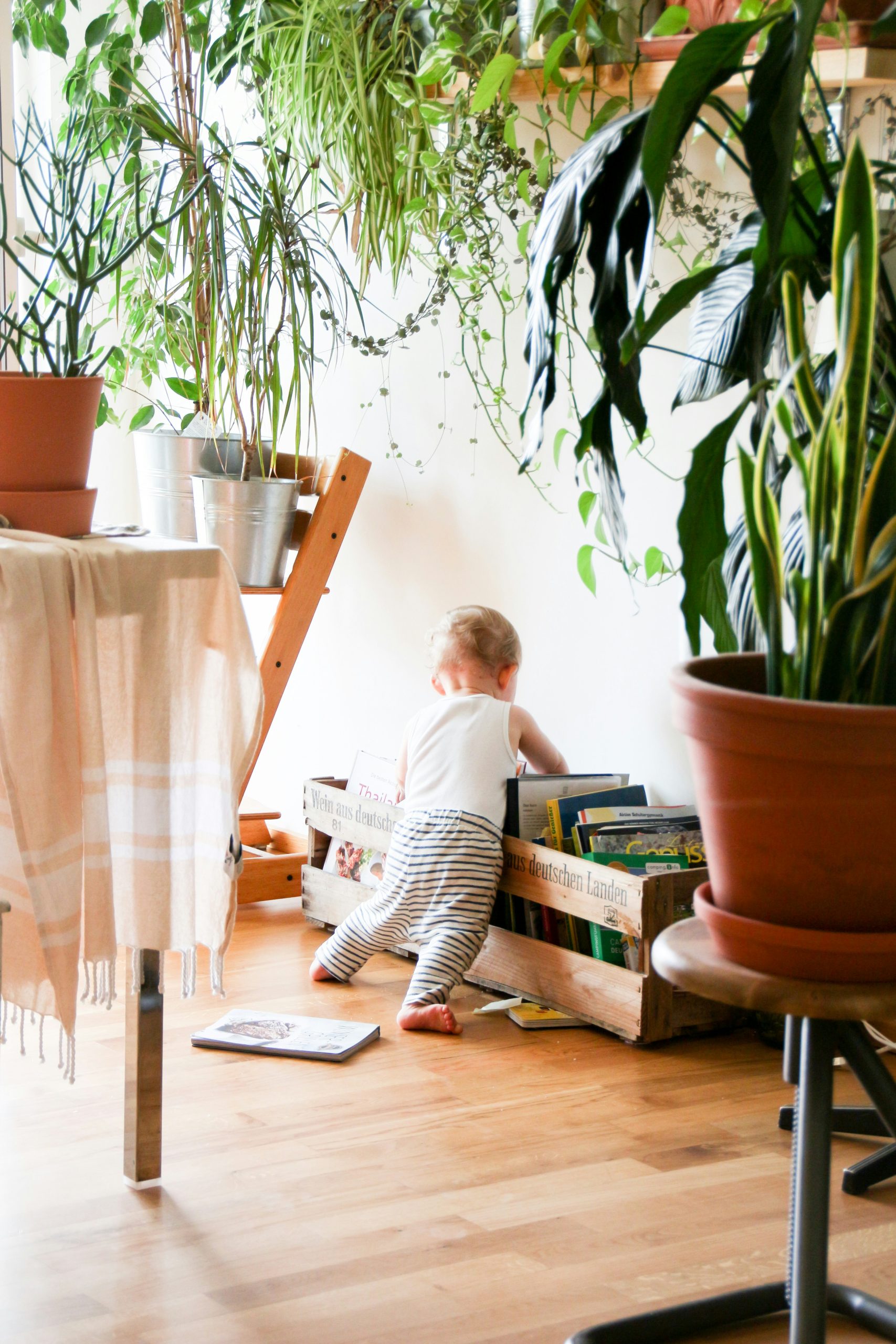Read more about the article Revolutionizing Green Living with Innovative Eco-Friendly Products