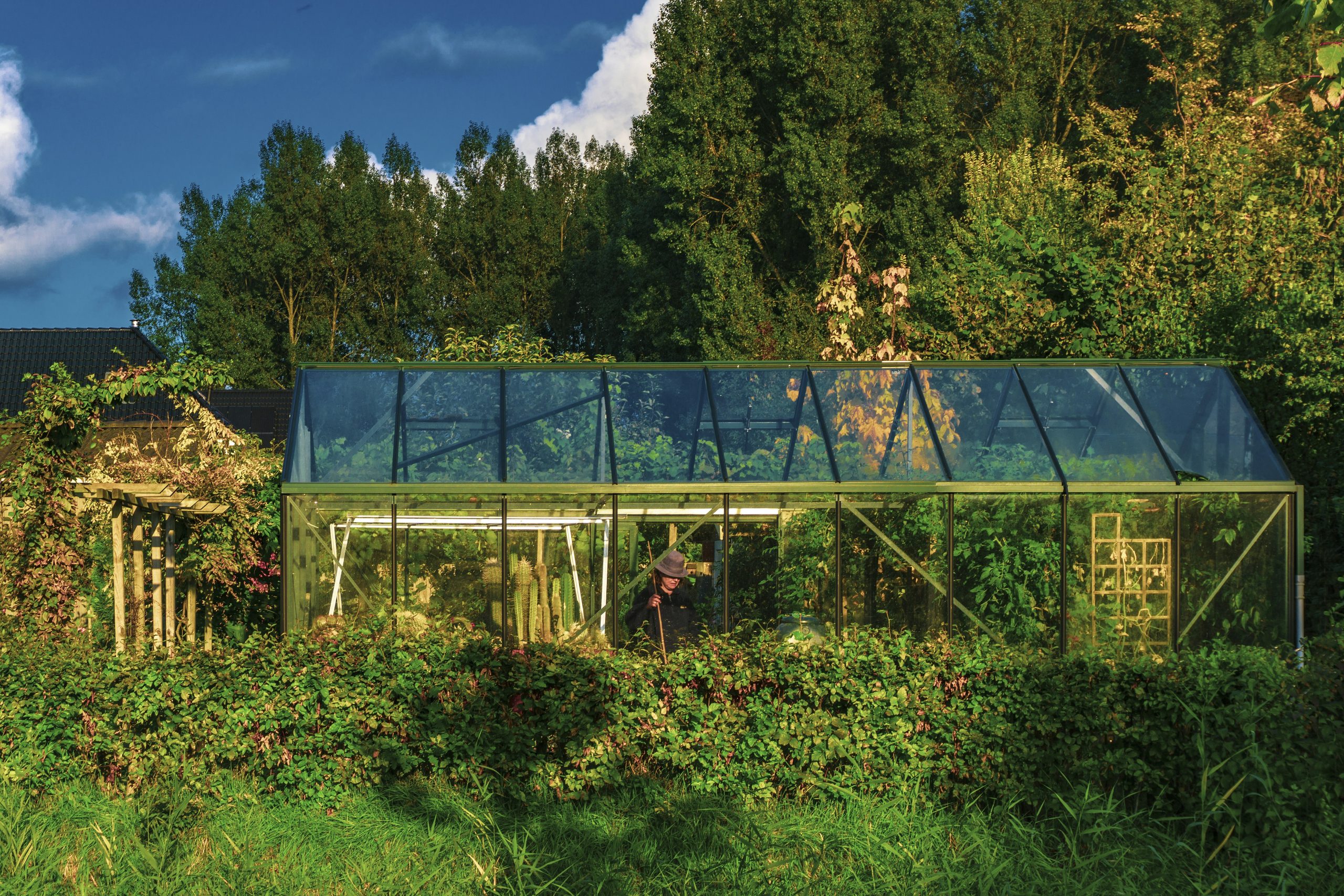 Read more about the article Solar Panels: The Future of Sustainable Energy