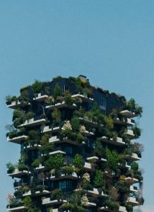 Read more about the article Discover the Top Eco-Friendly Alternatives for a Sustainable Lifestyle
